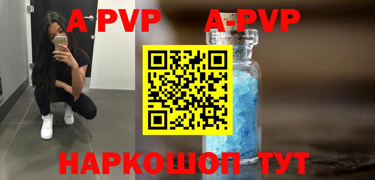 Альфа ПВП СК КРИС Архангельск