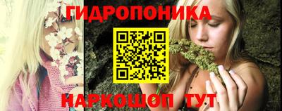 прущие крисы Будённовск