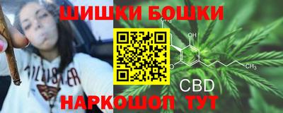 прущие крисы Будённовск