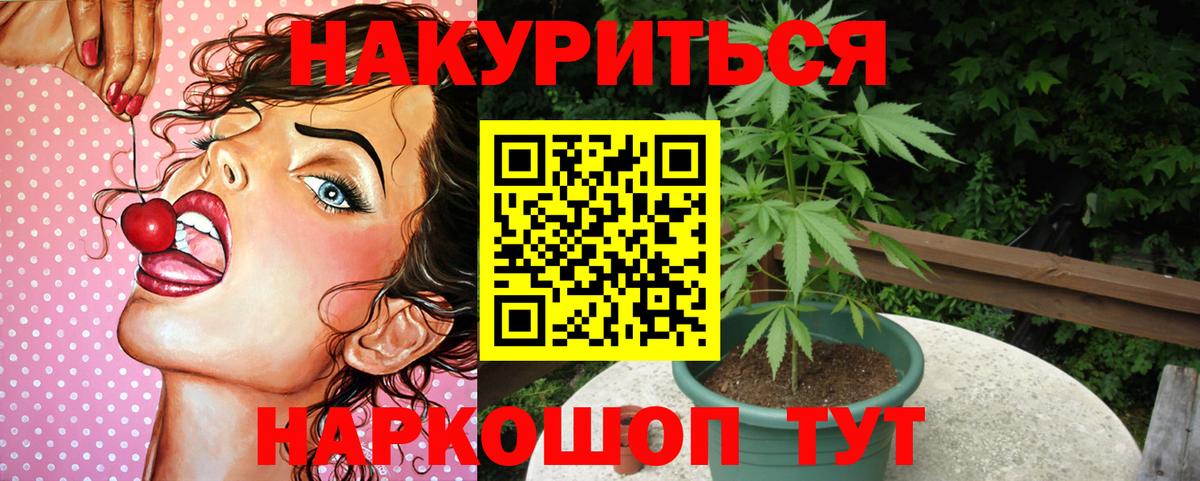 Бошки марихуана марихуана  Вход с VPN  МАРИХУАНА планчик  Марихуана ГИДРОПОН  Архангельск 